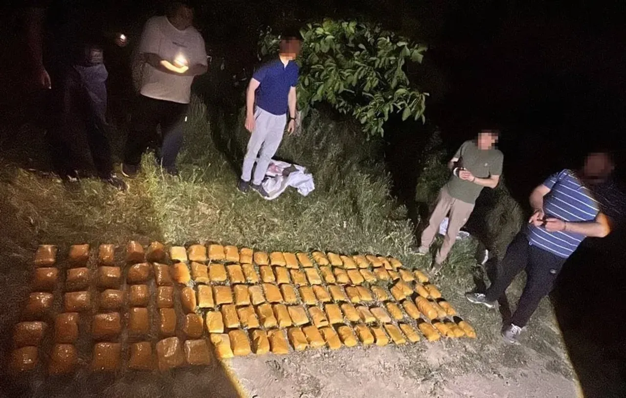 Қибрайда дарахтлар орасига яширилган 95 кг «гашиш» аниқланди