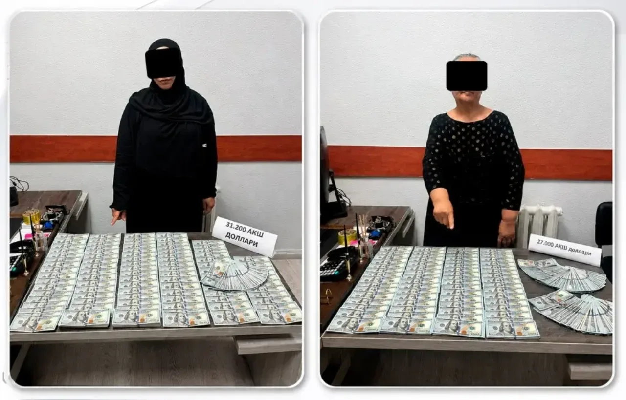 Toshkentda viza olib berishda 31,2 ming dollarlik firibgarlik fosh etildi