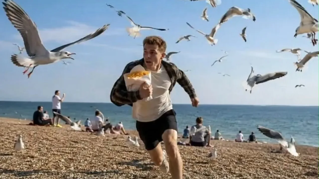 Seagulls in Britain steal £172 million worth of food annually