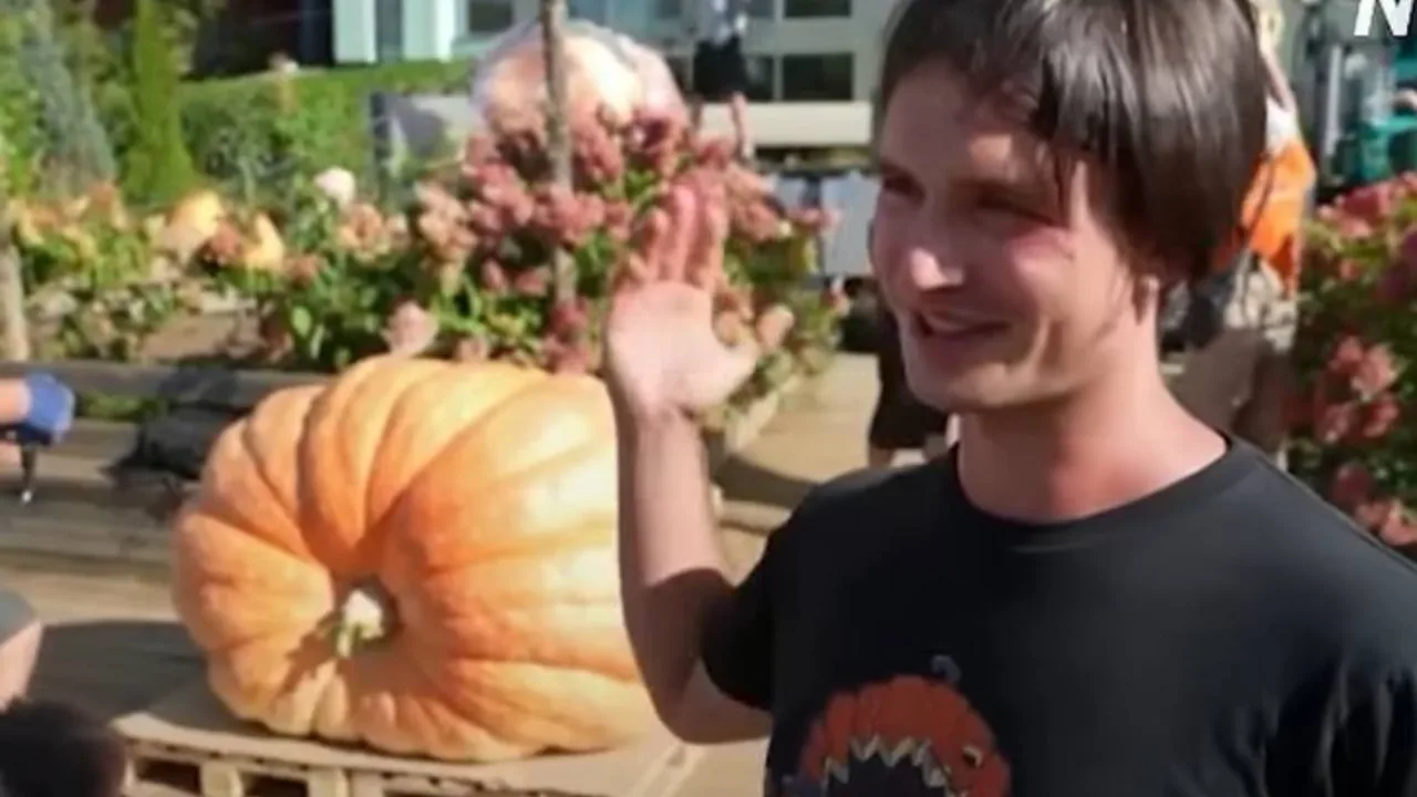 Une citrouille de 817 kg cultivée par un garçon de 12 ans : une récolte record qui étonne tout le monde !