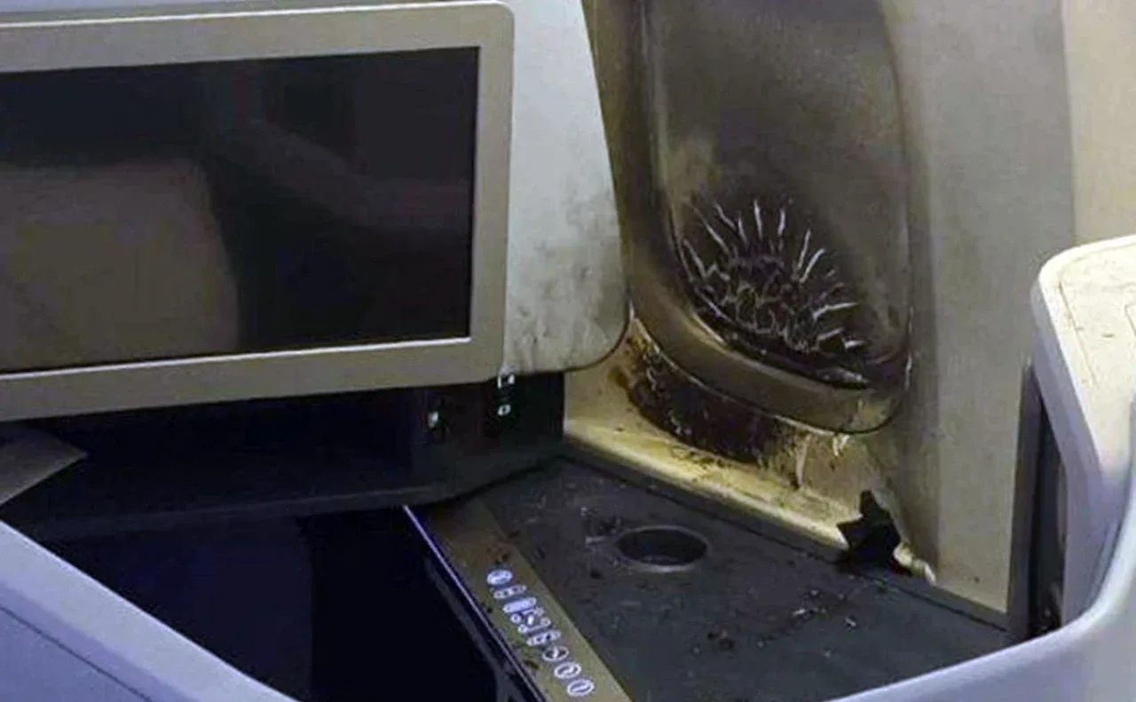 Fiery Panic in Flight: Former Minister Causes Unexpected Fire on Airplane