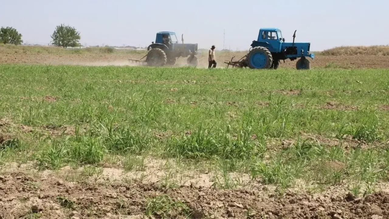 Conditions for purchasing state property and land will be eased