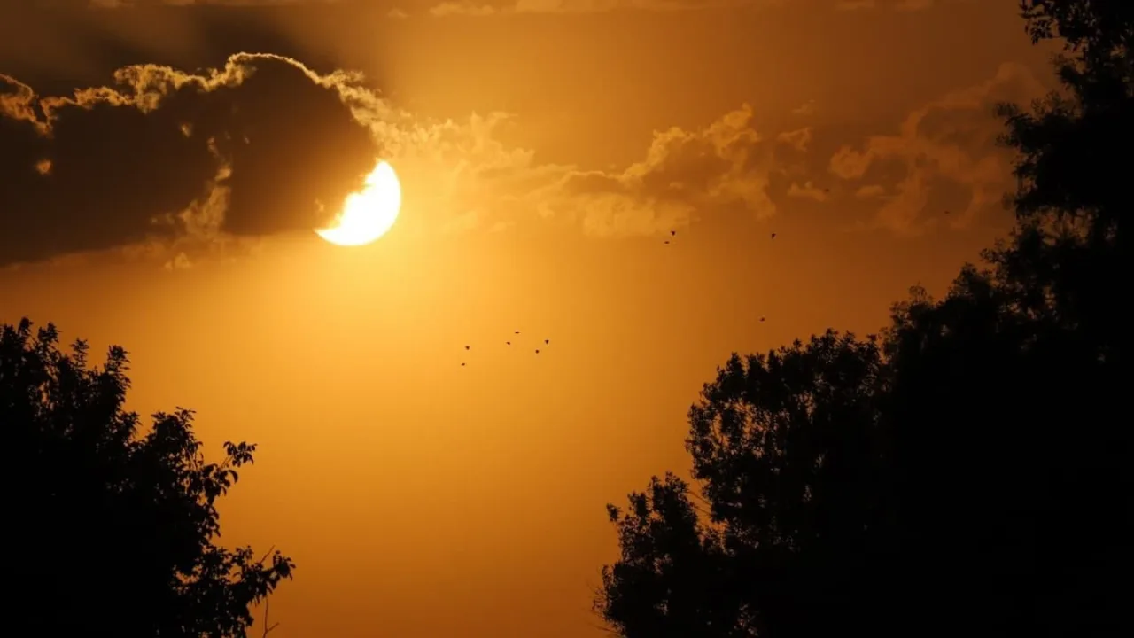 What will the weather be like in Uzbekistan during the week?