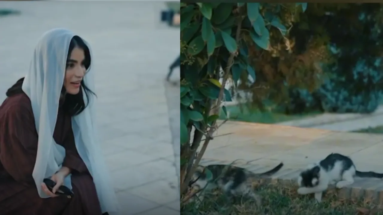 Saida Mirziyoyeva axlat qutisidagi mushukchani ko‘rib, befarq o‘tib ketmadi (video)