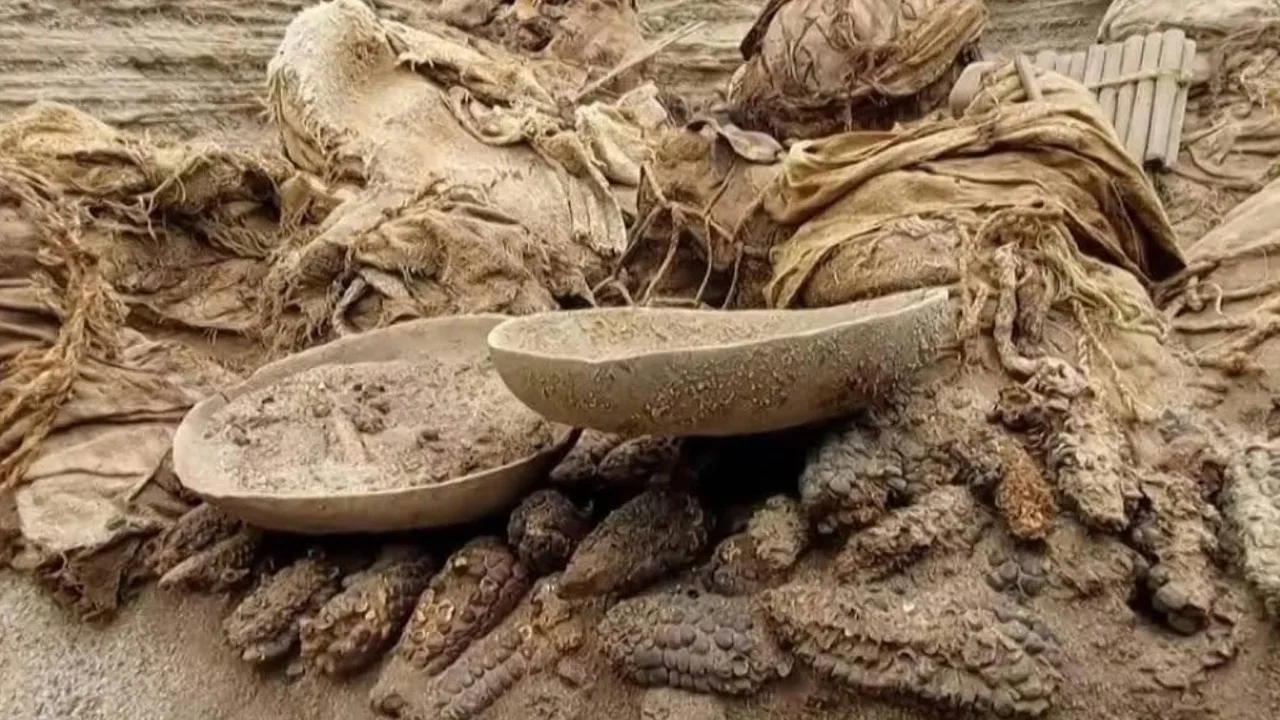 572 Skelette in Sri Lanka entdeckt: Wem gehören die Überreste und unter welchen Umständen starben sie?