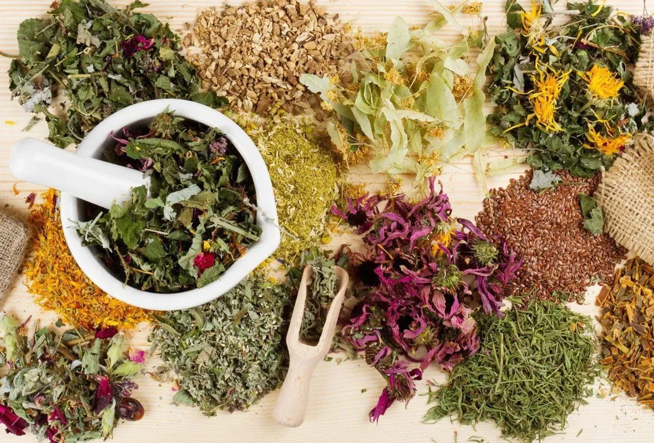 A true natural pharmacy: 8 healing greens recognized by experts
