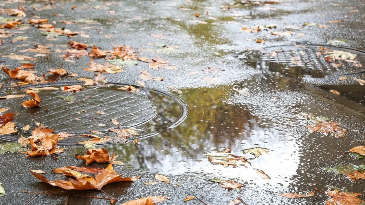 Which regions are expected to see rain tomorrow?