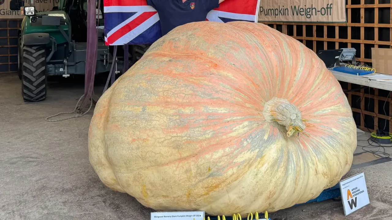 A giant, light-yellow pumpkin against the background of the British flag.