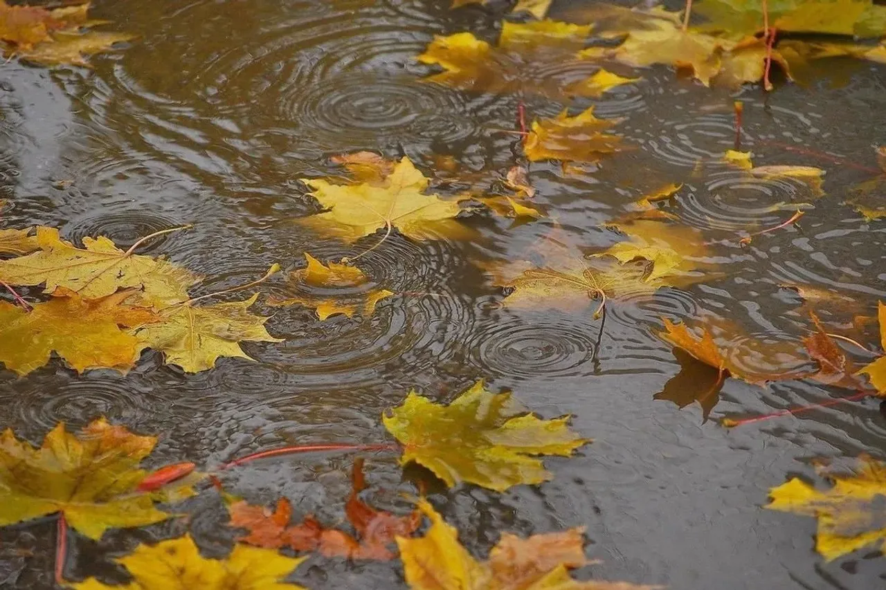What will the weather be like in Uzbekistan on October 12?