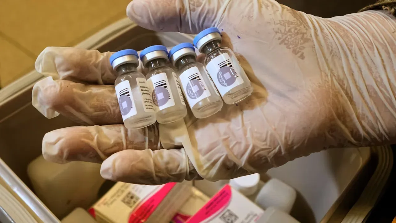 Scientists identify infections that may cause cancer