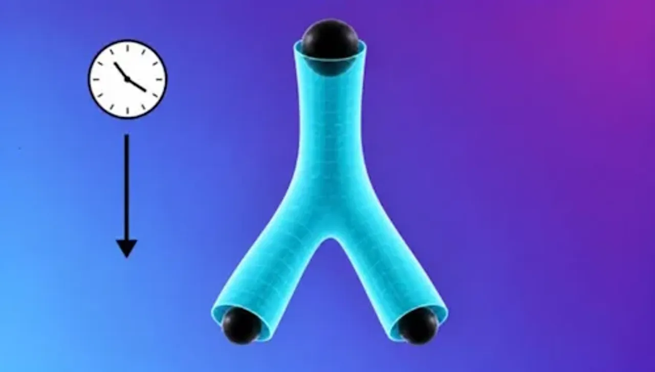 Black spheres are depicted at the ends of a blue, fork-shaped tube.