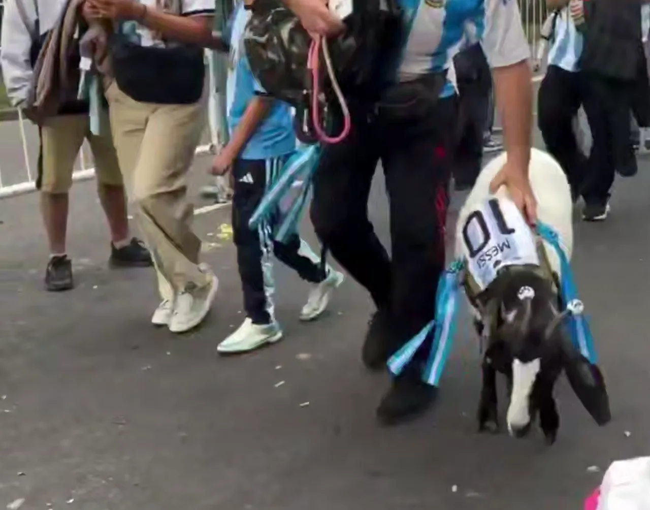 Argentine fans surprise everyone at Messi's final match (video)