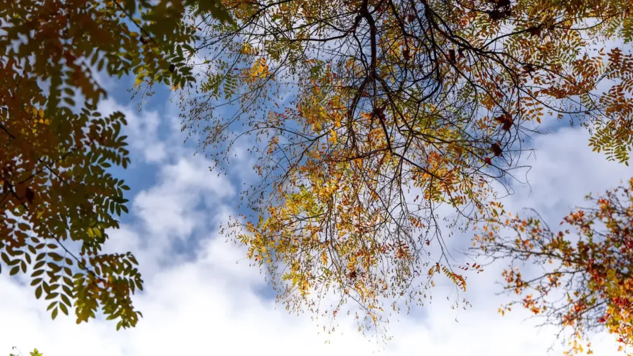What will the weather be like in Uzbekistan on October 3?