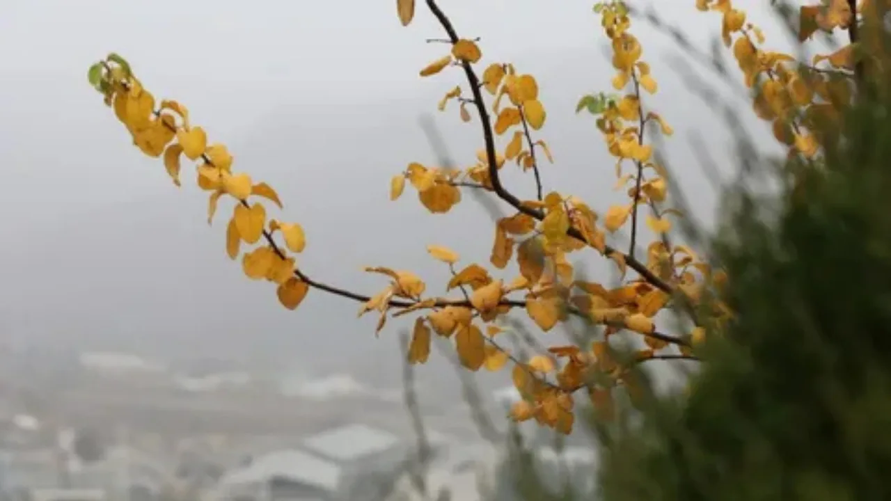 Weather forecast for October 8 announced