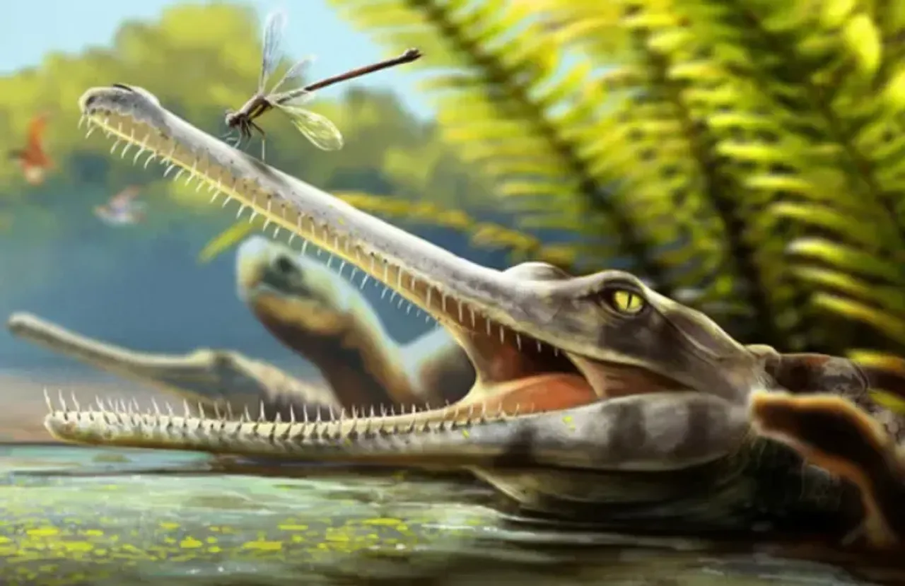 Britische Wissenschaftler entdecken neue Krokodilart, die vor 170 Millionen Jahren lebte