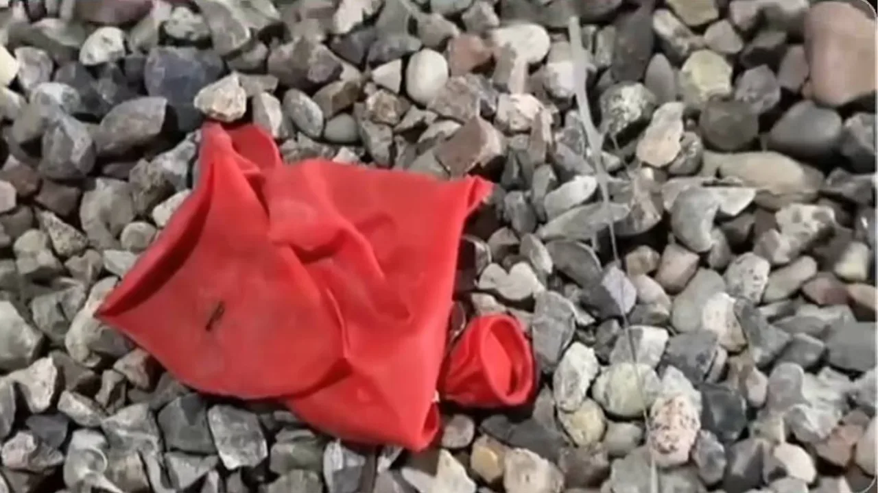 In Tashkent, a single balloon caused power outages in four districts