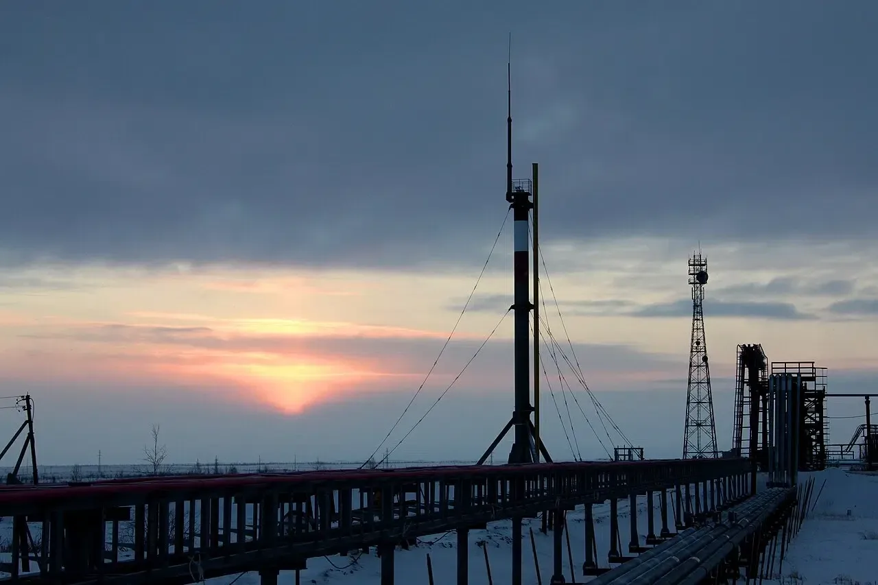 Can expensive analyses be skipped? An important discovery regarding Western Siberian fields