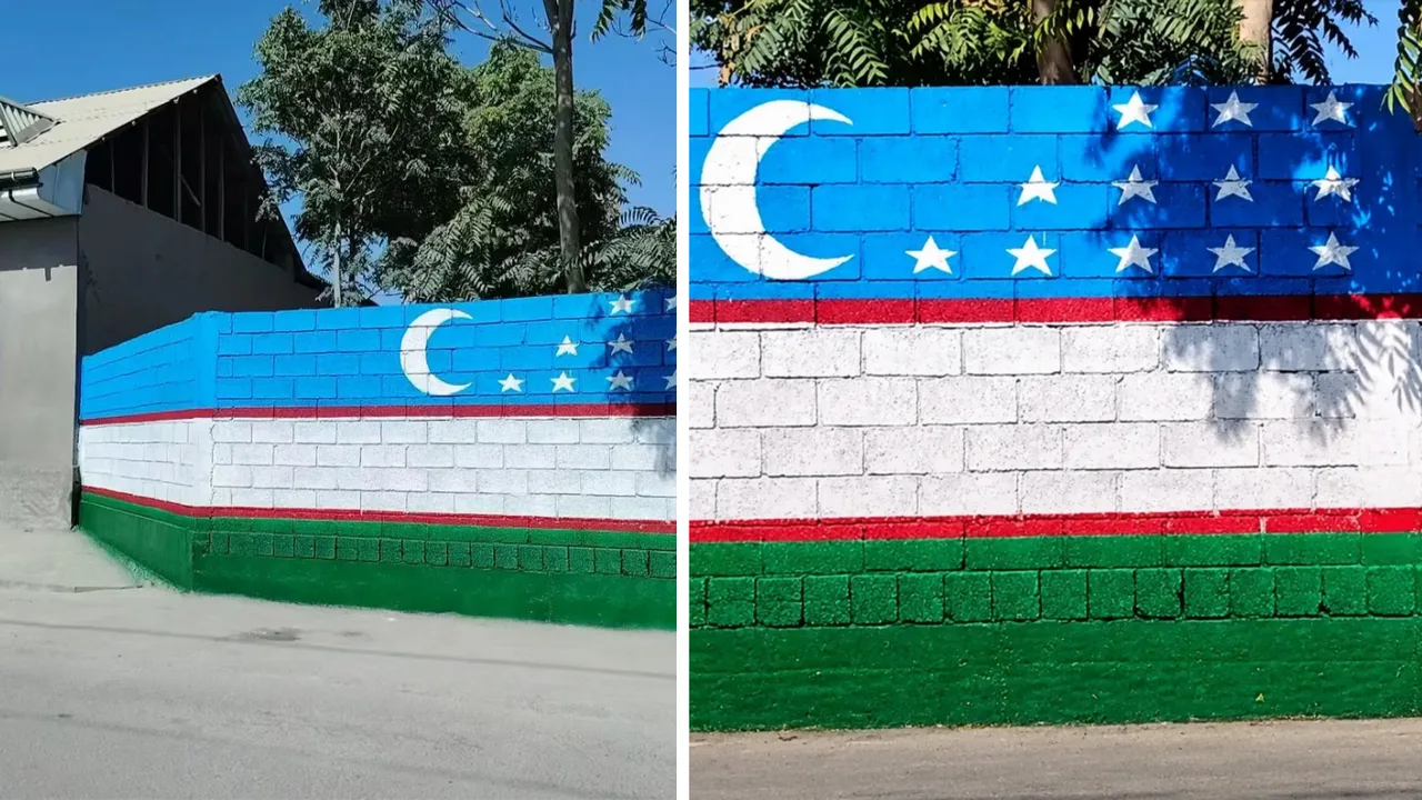 O‘zbekistonlik erkak uyi devorini davlat bayrog‘i ranglariga bo‘yagani uchun ogohlantirilganini aytdi (video)