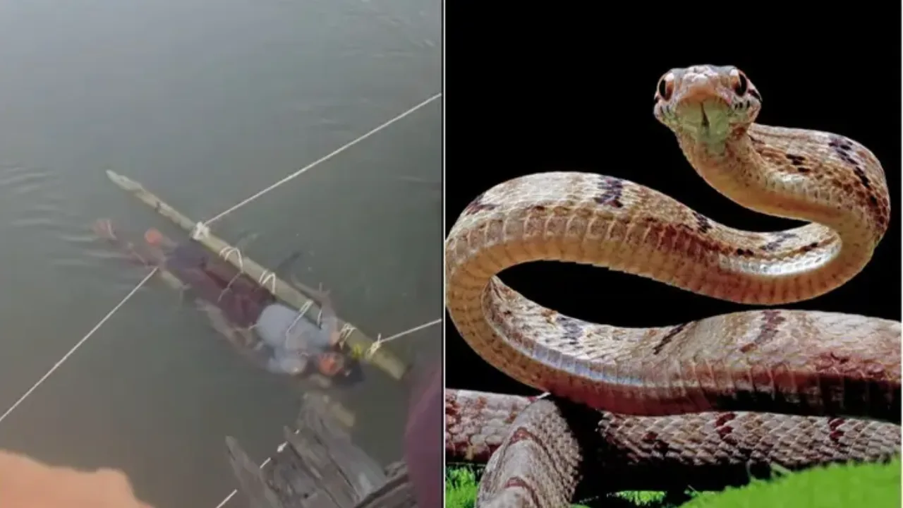 Family keeps snake-bitten boy in holy river for 12 hours