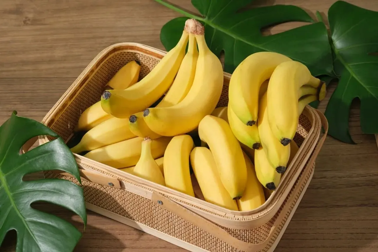 Savat ichida va uning atrofida bir nechta pishgan sariq bananlar turibdi.